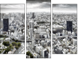 Triptych