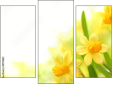 Triptych
