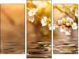 Triptych