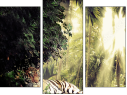 Triptych