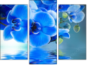 Triptych