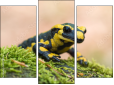 Triptych