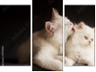 Triptych