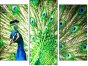Triptych