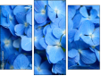 Triptych