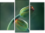 Triptych