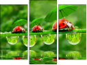 Triptych