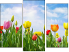 Triptych