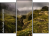 Triptych