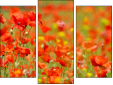 Triptych