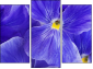 Triptych