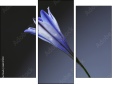 Triptych