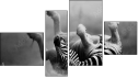 Fortyk