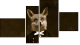 Fortyk