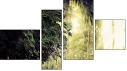 Fortyk