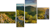 Fortyk