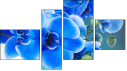 Fortyk