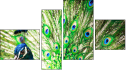 Fortyk