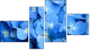 Fortyk