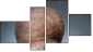 Fortyk