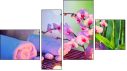 Fortyk