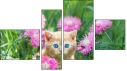 Fortyk