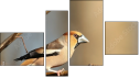 Fortyk
