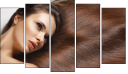 Pentaptych