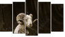 Pentaptych
