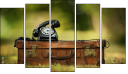 Pentaptych