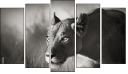 Pentaptych