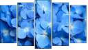 Pentaptych