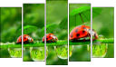 Pentaptych