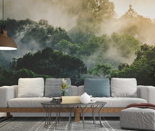 ranni mlha nad tropickym lesem fototapety do obyvaciho pokoje fototapety demural