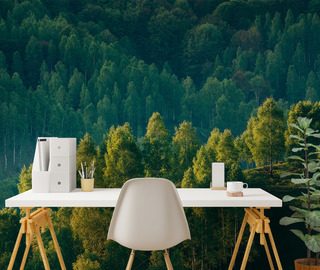 hlubina lesa s vyhledem na stromy fototapety krajin fototapety demural