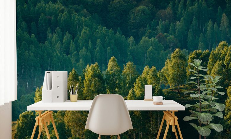 hlubina lesa s vyhledem na stromy fototapety krajin fototapety demural