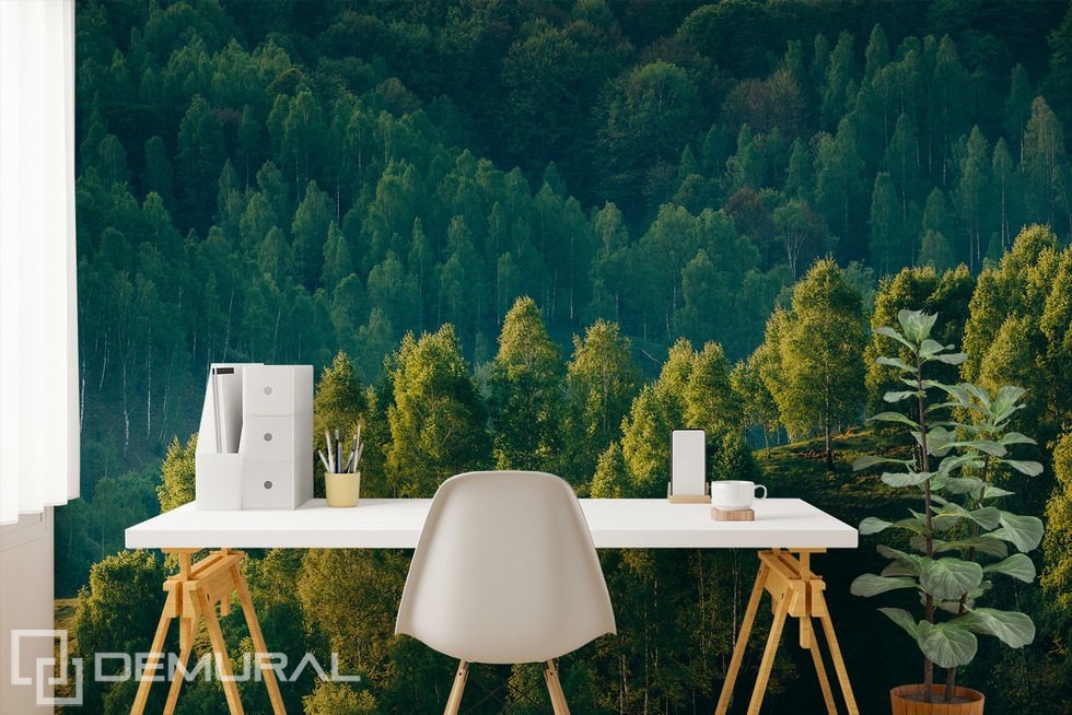 Hlubina lesa s výhledem na stromy Fototapety Krajin Fototapety Demural