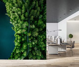 lesni stezka podel vody z ptaci perspektivy fototapety do kancelare fototapety demural