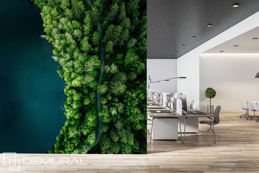 Lesní stezka podél vody z ptačí perspektivy Fototapety do kanceláře Fototapety Demural