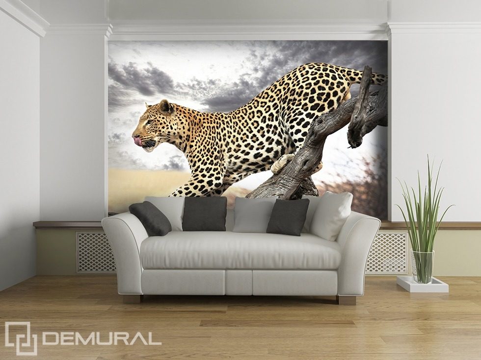 Skok geparda Fototapety Zvířata Fototapety Demural