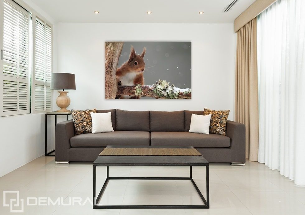 Krásná veverka Obývací pokoj Plakáty Demural