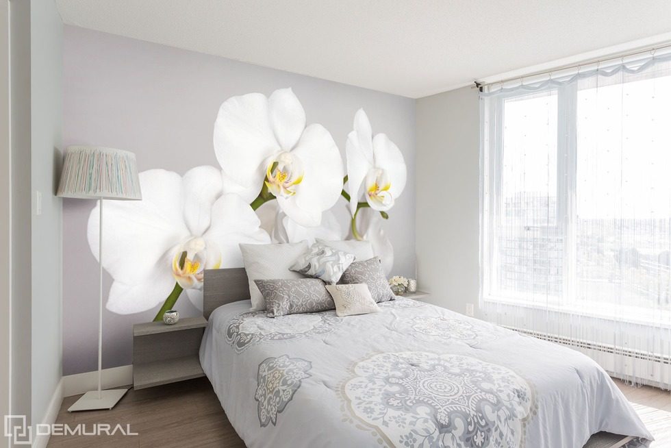 Bílá a šťavnatá orchidej Fototapety květiny Fototapety Demural