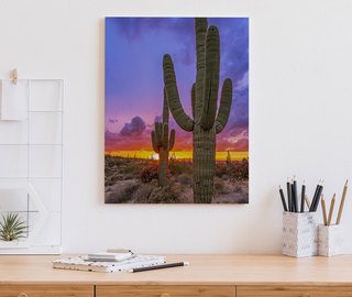 zapad slunce nad kaktusovym udolim kancelar obrazy demural